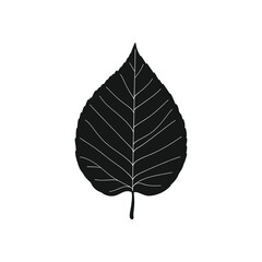 Black alder leaf icon, botanical silhouette isolated on a white background