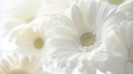 Close up of serene white flowers with gentle petals and vibrant details, creating calming and peaceful atmosphere. delicate beauty of these blooms evokes tranquility and joy