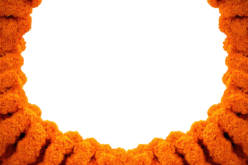 Fiery orange circular frame on black background