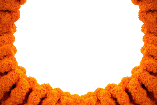 Fiery orange circular frame on black background