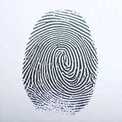 A detailed fingerprint impression