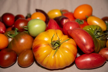 tomatoes and peppers