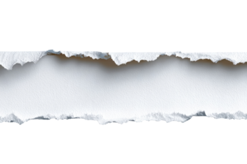 Ripped white paper strip (1)