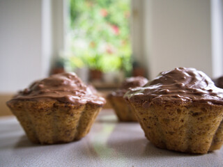 Rustic fall dessert viewed up close. Delicious hazelnut cupcakes in perfect lightning.