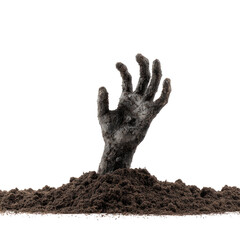 A decaying zombie hand emerges from the grave, reaching upwards. Spooky Halloween image. background removed