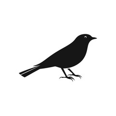 Obraz premium Black silhouette of a small bird standing on the ground with white background