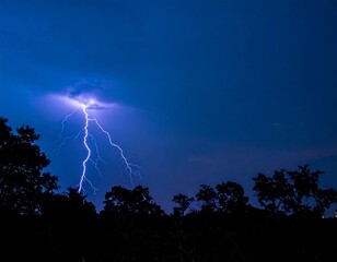 A dramatic lightning strike over dark trees