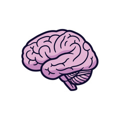 A stylized illustration of a human brain, showcasing its intricate folds and lobes in a simplified, cartoonish style.
