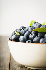 Fresh ripe garden blueberries in ceramic bowl. Summer berries.