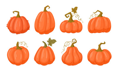 Halloween and thanksgiving pumpkins. Halloween orange pumpkins, squash with leaves flat vector illustration set. Cartoon autumn fall harvest gourds collection