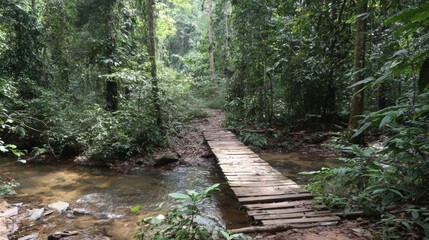 A wooden bridge spans a small stream in a lush forest. The bridge is surrounded by trees and the water is clear. The scene is peaceful and serene, with the sound of the water