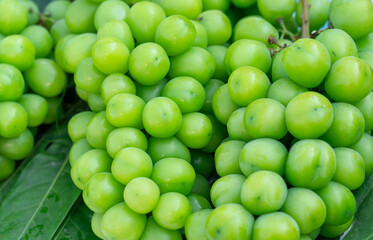 close up on green grape 