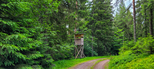 High hunting watch post on the forest path in the Black Forest in Germany.