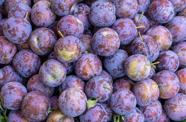 fresh plum as food background