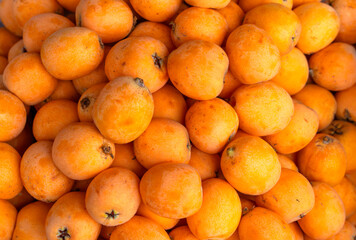 fresh picked loquat as food background