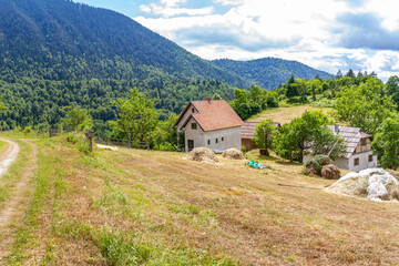 Mountain pastoral scene in Tara National Park: traditional house with tile roof, farm buildings, and haystacks on a mowed slope surrounded by forested foothills under sunny skies. Tara, Serbia.

