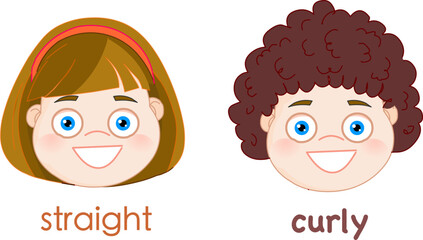 Straight, curly hair. Opposite english words. Texture Wavy, strait hairstyle. Brunette and blonde smiling girl face. Vector illustration