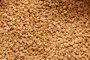 Raw Green Coffee Beans