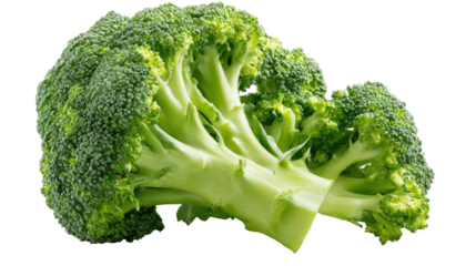 Close-up of fresh broccoli head, vibrant green, healthy vegetable