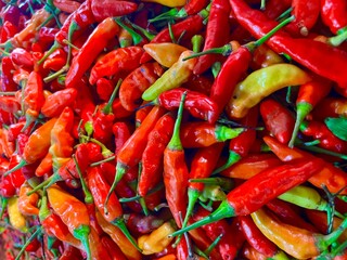 red hot chili peppers