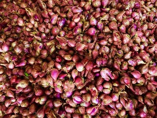 red onion background