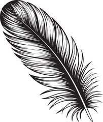 Obraz premium elegant feather icon for branding logo decor invitation or textile design with fine vintage sketch details