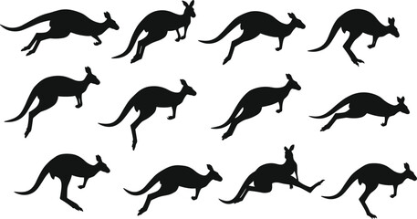 PrintKangaroo silhouette illustration set, twelve dynamic poses, hopping and standing stances, wildlife vector art, perfect for nature design, education, decor, and Australian themes