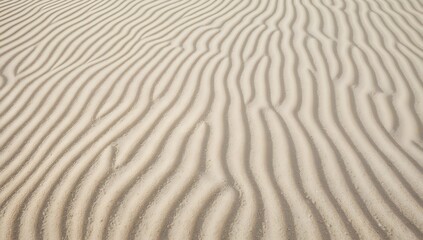 Overhead View of Wind-Sculpted Sand Ripples in Soft Dawn Light