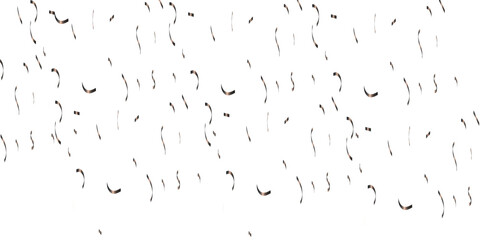 Silver shiny glitter sparkle confetti falling down on transparent background. Vector illustration.