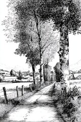 Rural road lined with tall trees in countryside, illustrated with fine pen strokes
