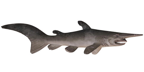 Realistic model of a goblin shark on white background.