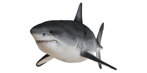 Realistic 3D model of a great white shark.