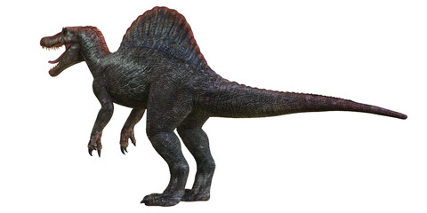Fototapeta premium Majestic Spinosaurus roaring in ancient wilderness