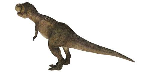 Realistic dinosaur rendering on white background.
