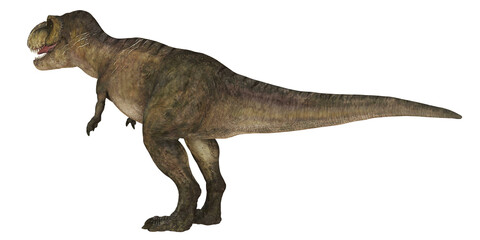 Fototapeta premium Realistic 3D rendering of a Tyrannosaurus rex.