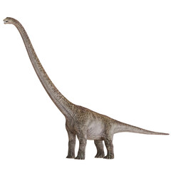 Gigantic dinosaur with an extremely long neck © Ilie
