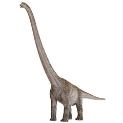 Giraffatitan dinosaur with a long neck on a white background © Ilie