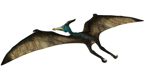 Realistic Image of a Flying Pterodactyl © Ilie