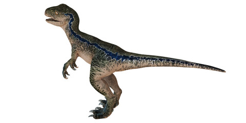 Realistic Velociraptor dinosaur on white background.