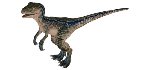 Realistic velociraptor dinosaur toy isolated.