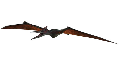 Pterodactyl soaring through the sky © Ilie