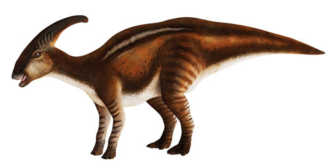 Realistic model of a Parasaurolophus dinosaur.