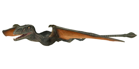Realistic model of a flying pterosaur in motion.