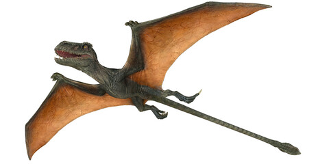 Obraz premium Realistic model of a flying pterosaur.