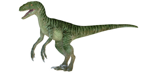 Realistic depiction of a Velociraptor dinosaur