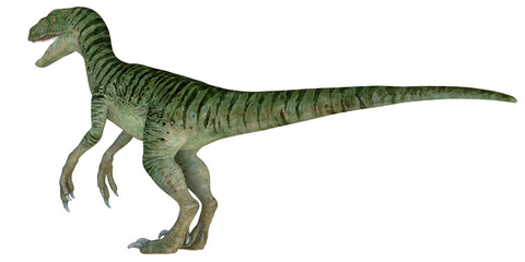 Lifelike rendering of a Velociraptor dinosaur