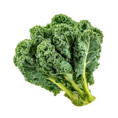 Close-up of fresh kale. Lush green leaves