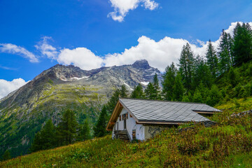 Saas-Fee Alpine Chalet in Summer Mountain Landscape