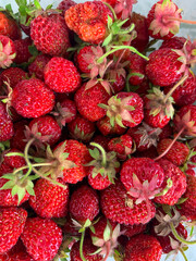fresh strawberries in basket