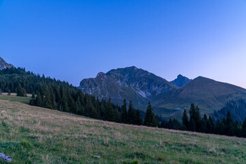 Starry Skies over the Gantrisch Mountains